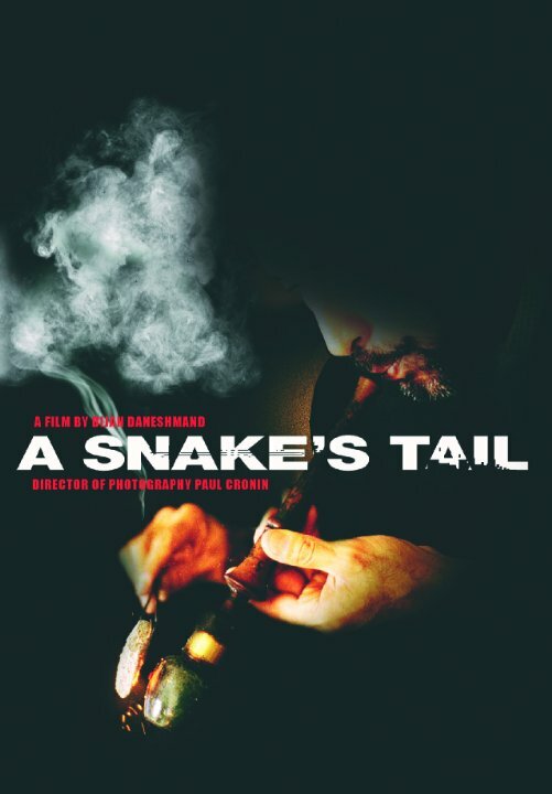 A Snake's Tail (2006) постер